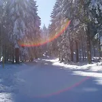 Hotel Haus Oberland 3*