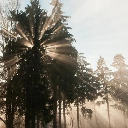 Haus Oberland 3*