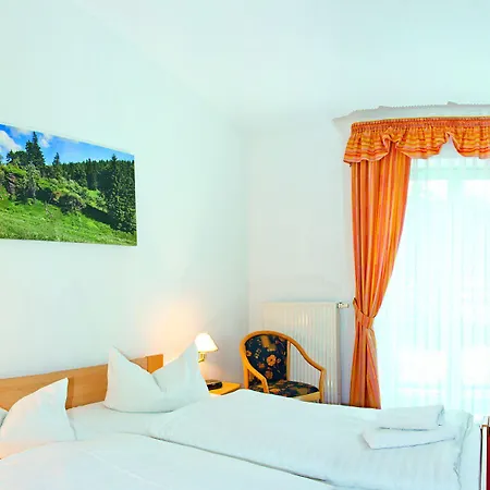 Haus Oberland Hotel 3*