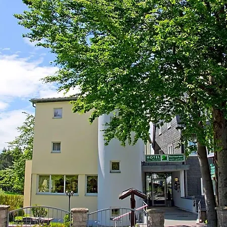 Hotel Haus Oberland 3*