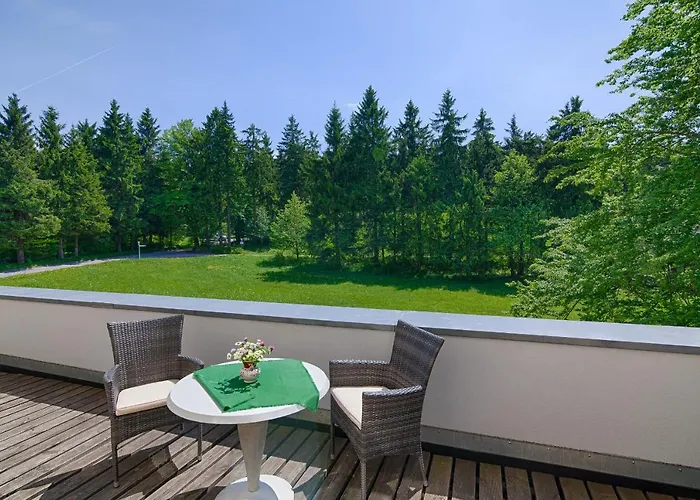 Hotel Haus Oberland 3*