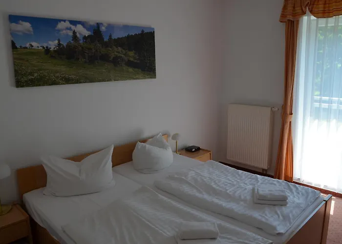 Hotel Haus Oberland 3*