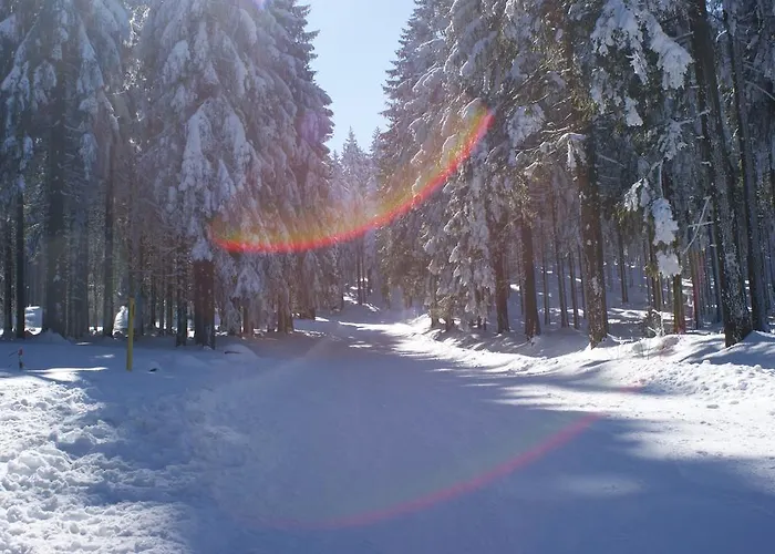 Hotel Haus Oberland 3*